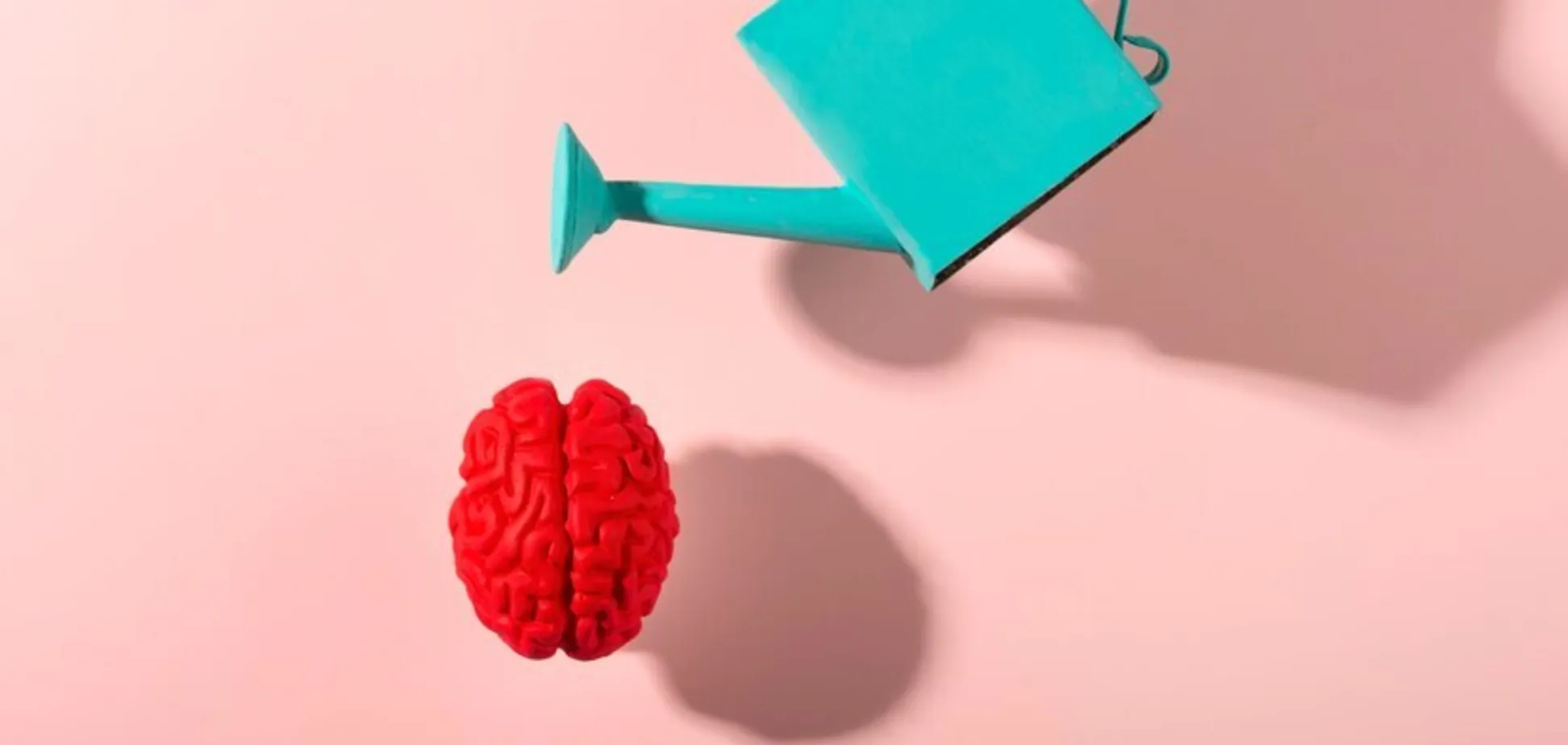 Giữ cho tâm trí luôn sáng suốt